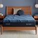 iSeries NXG 4500 13.5" Memory Foam Ultra Plush Mattress image
