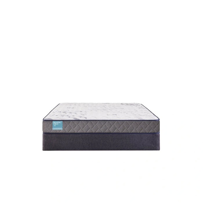 Sealy Nori Foam Mattress