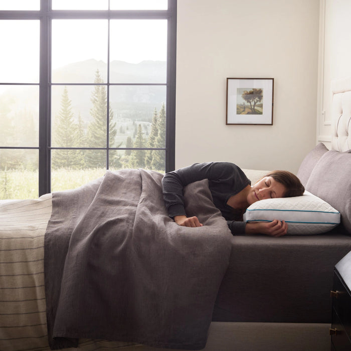 FlexFill + HyperChill Pillow