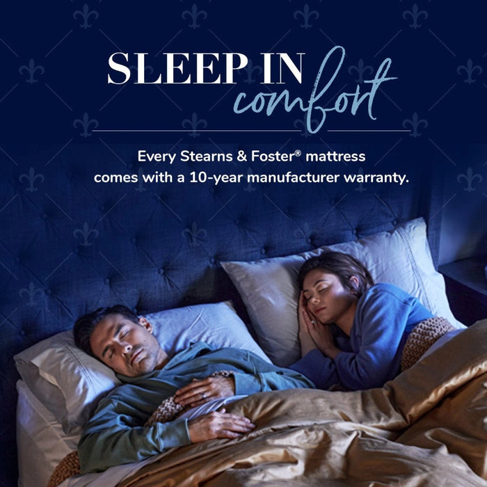 Stearns & FosterÂ® Studio Pillow
