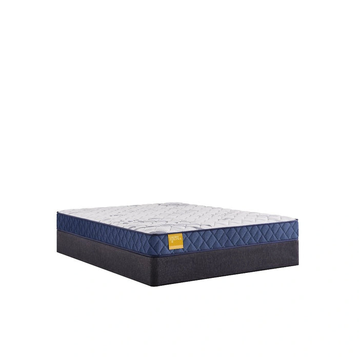 Sealy Erie Foam Mattress