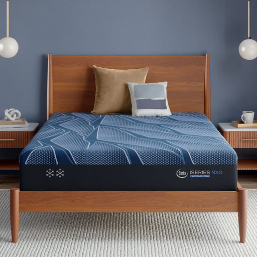 iSeries NXG 2500 12.5" Memory Foam Plush Mattress image