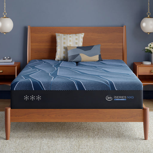 iSeries NXG 4500 13.5" Hybrid Plush Mattress image