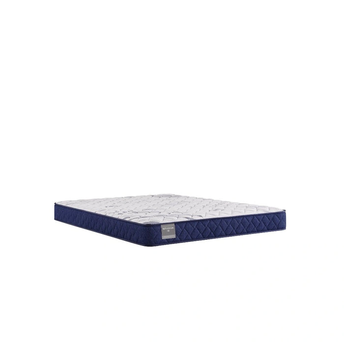 Sealy Oconee Foam Mattress