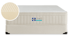Sealy Naturals Latex Hybrid PL/FM - Luxury Mattress Outlet (CA)