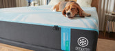 Tempur-Pedic LuxeBreeze Medium Hybrid Mattress - Luxury Mattress Outlet (CA)