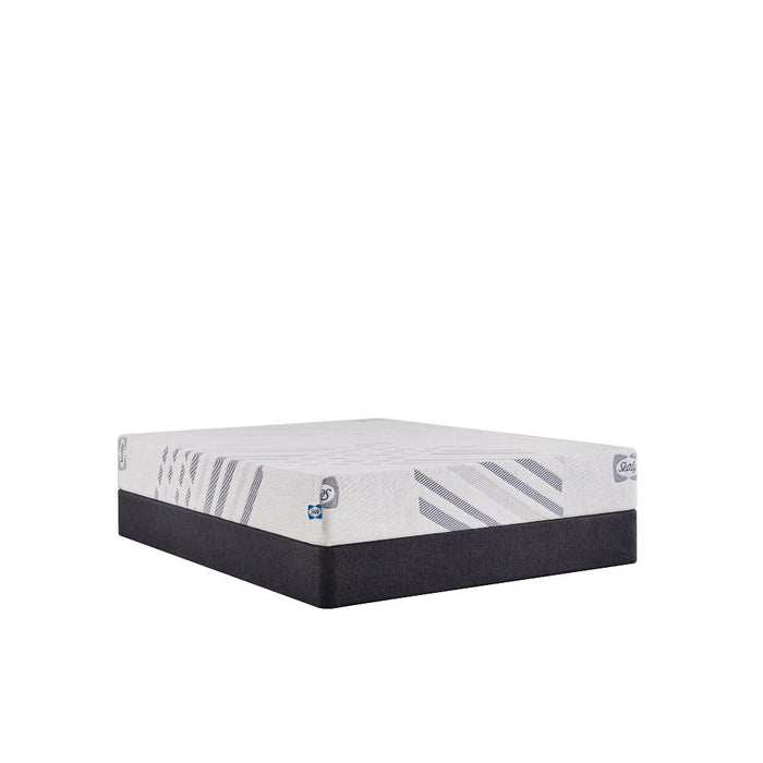 Sealy Lane Foam Mattress
