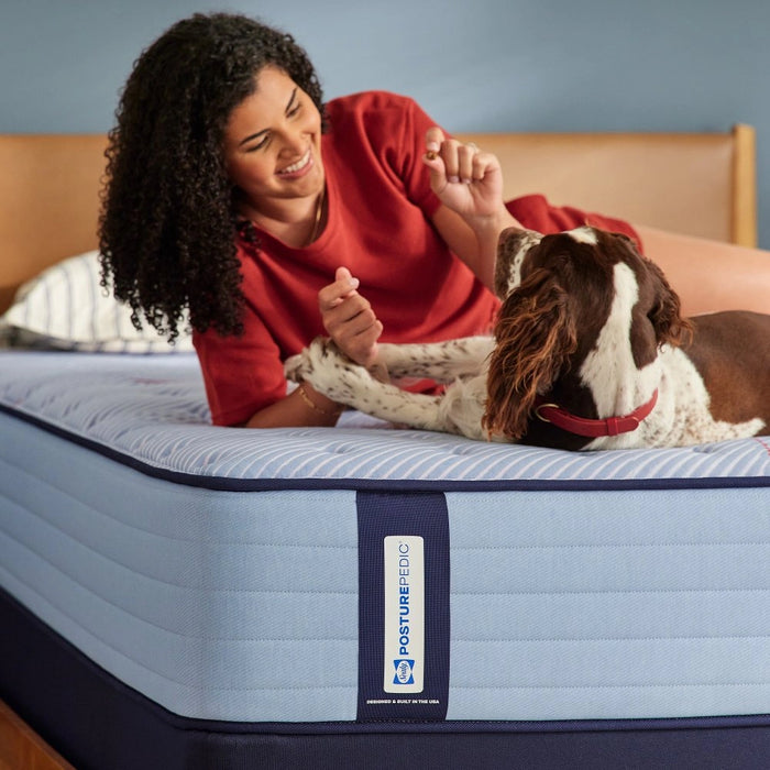 Sealy Medina IITight Top Spring Mattress
